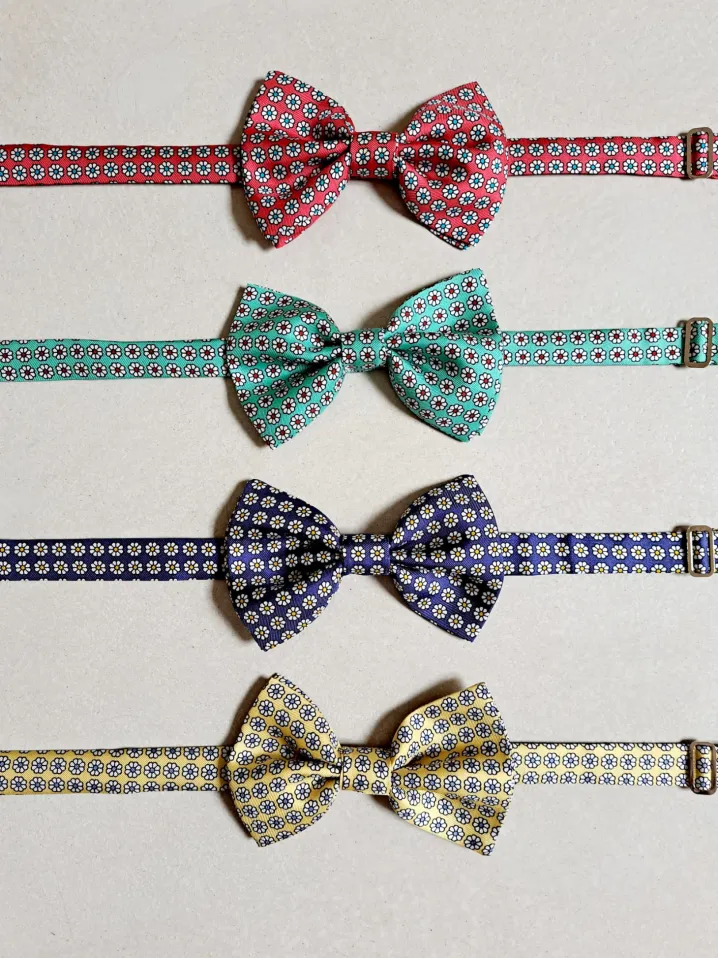PAPILLON SETA MARGHERITA