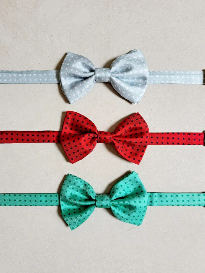 PAPILLON SETA POIS