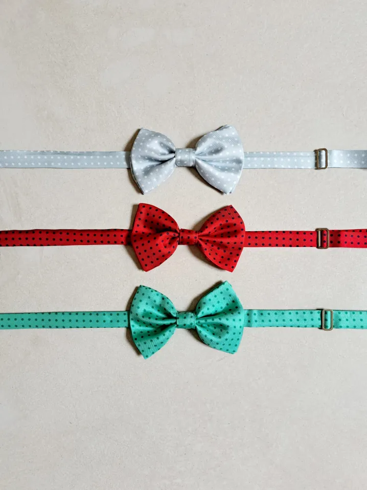 PAPILLON SETA POIS
